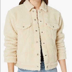 NWOT Hollister Sherpa Trucker Jacket